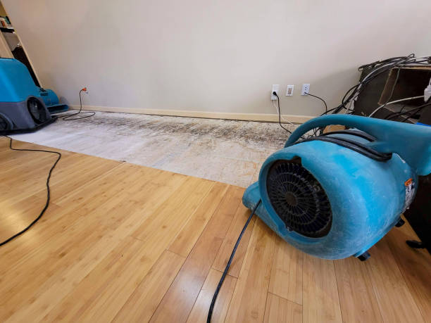 Professional Water Damage Repair technician working in Eau Claire, PA